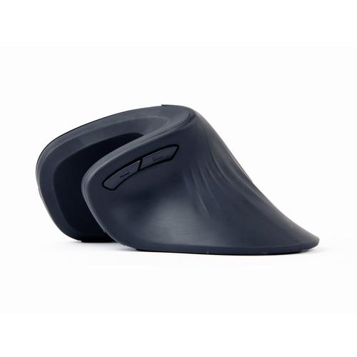 Gembird MUSW-ERGO-03 muis Thuis Rechtshandig RF Draadloos Optisch 1600 DPI - Image 4