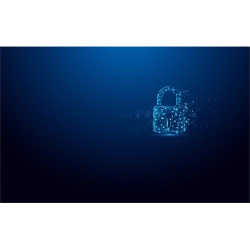 Kingston Technology IronKey 64GB Vault Privacy 50 AES-256 versleuteling, FIPS 197 - Image 8