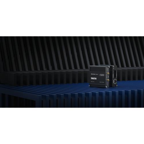 Teltonika TRB256 gateway/controller 10, 100 Mbit/s - Image 9